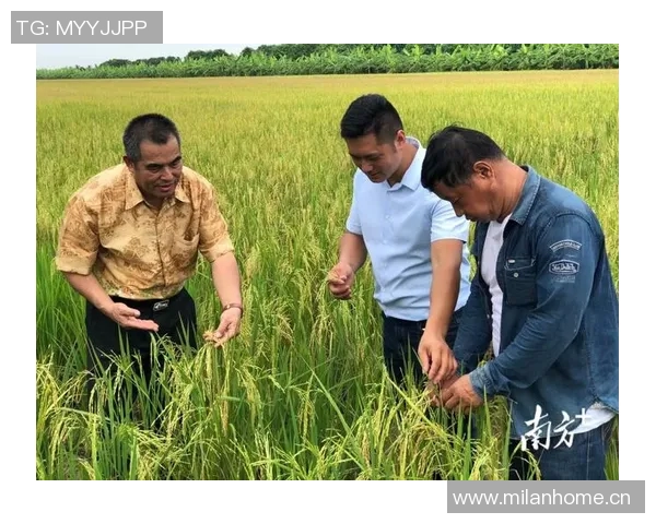 退役球星转型现状调查与职业发展路径研究分析